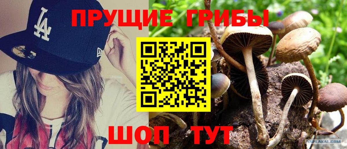 Галлюциногенные грибы GOLDEN TEACHER Сочи